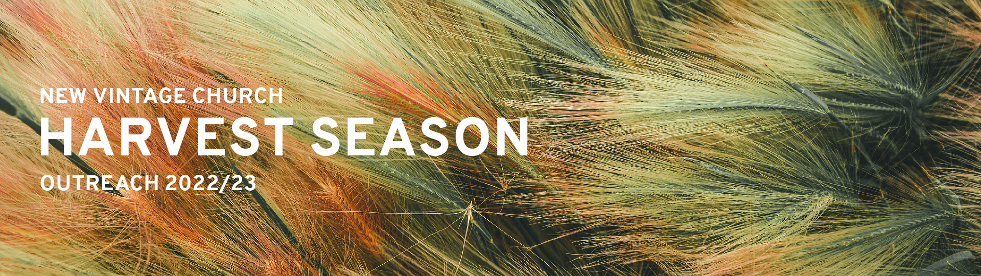 harvest season web banner 2