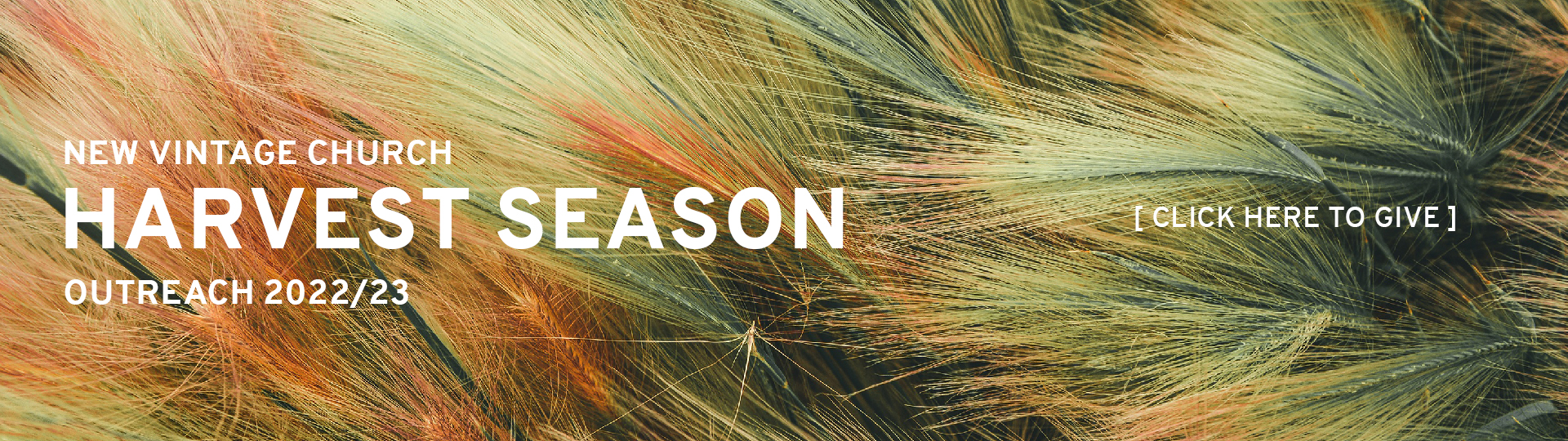 harvest season web banner